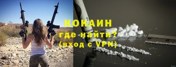 твердый Арсеньев