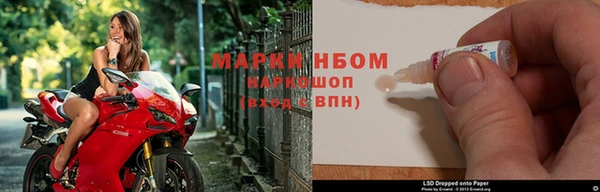 трава Аркадак