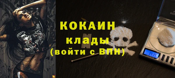 трава Аркадак