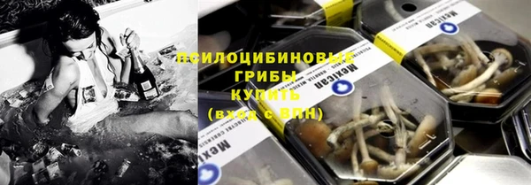 трава Аркадак