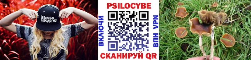 Галлюциногенные грибы MAGIC MUSHROOMS  магазин продажи   Белокуриха 